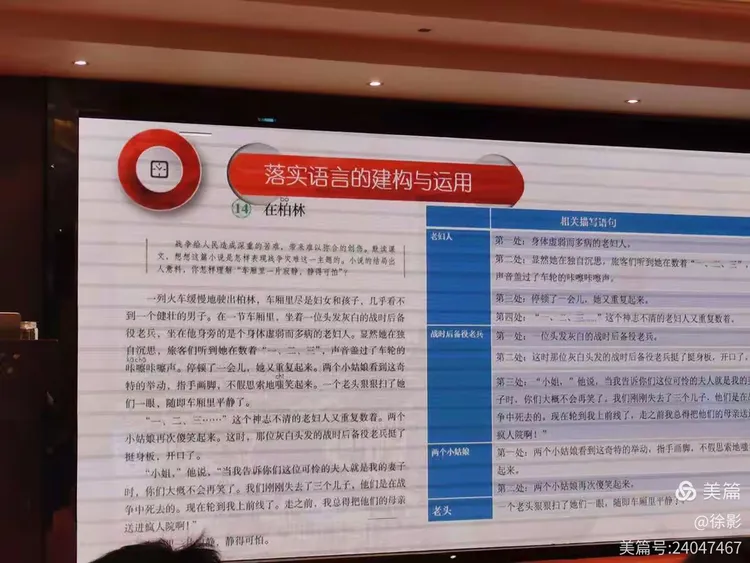 绿杨荫里画船停打一精准生肖,警惕虚假宣传,构建解答解释落实